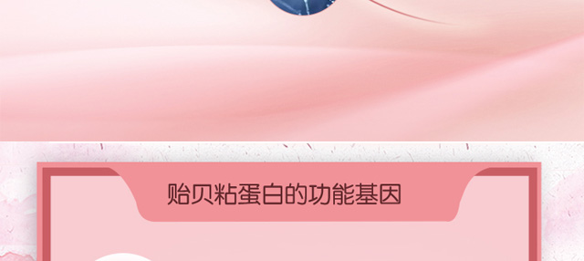 �Oؐճ�����ޏ�(f��)���Foem