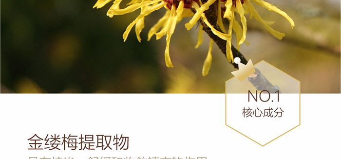 ؐ��ޱԊ�������R���������F