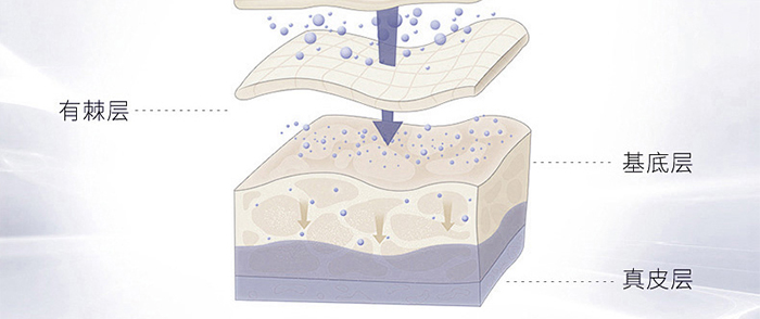 �n�����������o(h��)��