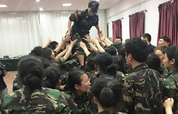 單槍匹馬難跨越，百人抱團筑長城！