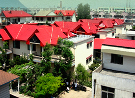 ������_������(d��n)�Įa(ch��n)ƷЧ����ô�k��